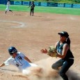 Dp softball Dp softball