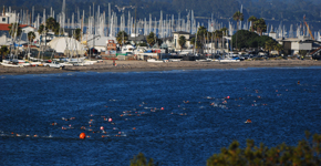 Swimmers tackle the 1k open-water swim during Wednesday's Nite Moves