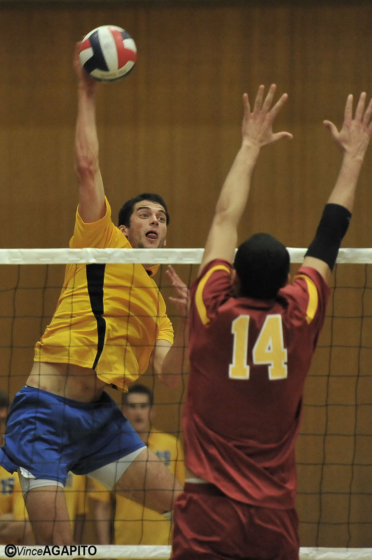 UCSB men's volleyball