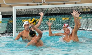 Griffins water polo