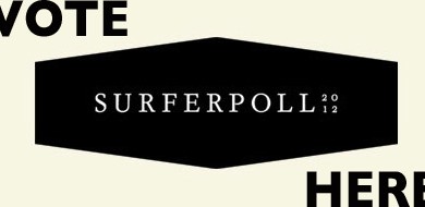 Surfer Poll 2012