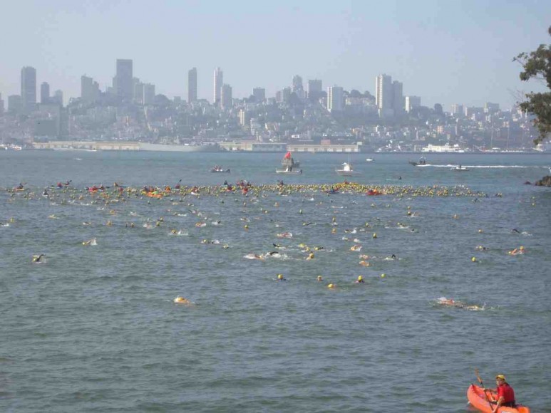 Swimmers make their way across San Francisco Bay in the 23rd annual Alcatraz Sharkfest open water swim. (Photos by Eric Voulgaris)