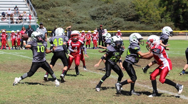 Julian Castro of the Pee Wee Santa Barbara Sharks threw two touchdown passes in a win over North Oxnard. 