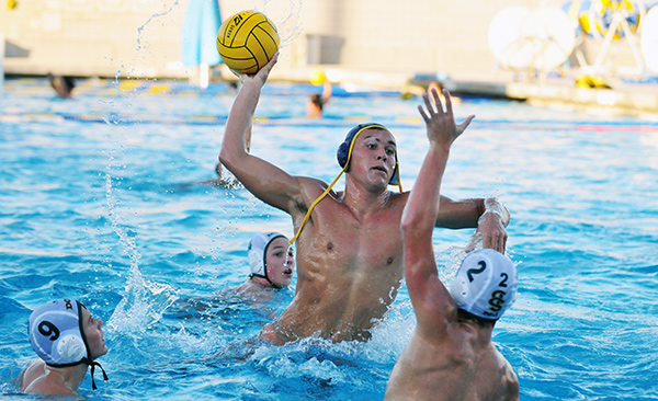 Dp Water Polo Star Parrish Earns All-cif Honors — Presidio Sports